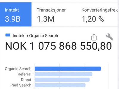 Nettbutikk SEO og e-handel