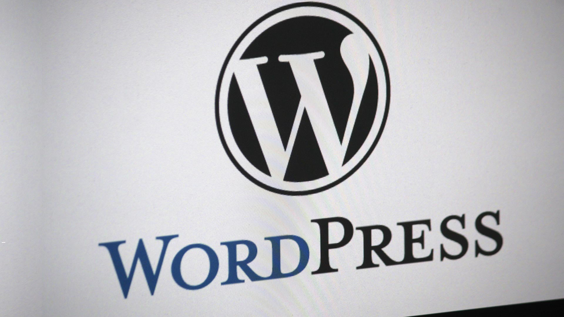 WordPress SEO